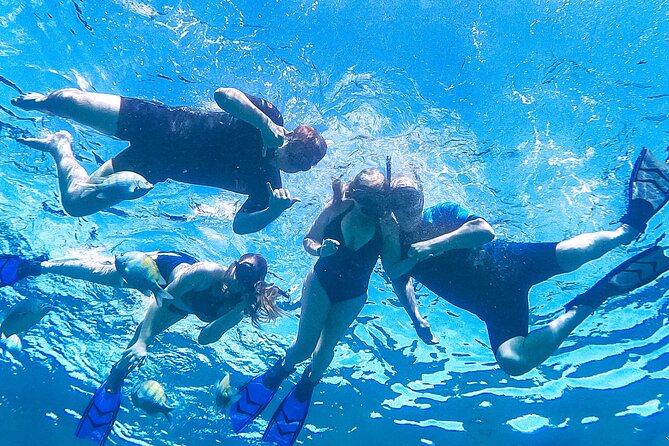 Los Cabos Snorkeling Tour by Speed Boat with Photos Included - Snorkeling at a quieter site