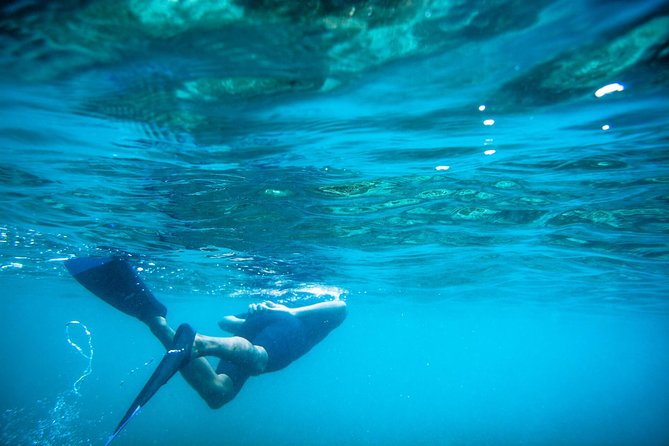 Los Cabos Snorkeling Tour to Chileno Bay and Santa Maria Cove - What this three-hour Cabo snorkeling trip is really like
