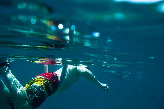 Los Cabos Snorkeling Tour to Chileno Bay and Santa Maria Cove - The guides are a major part of the value