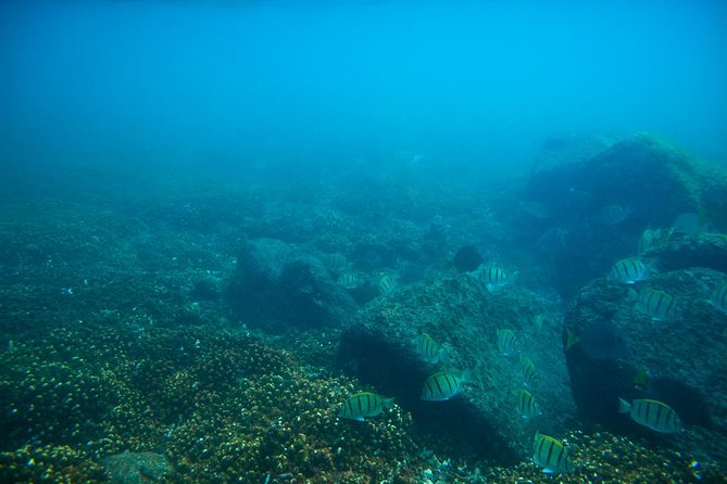 Los Cabos Snorkeling Tour to Chileno Bay and Santa Maria Cove - Choosing the best departure time