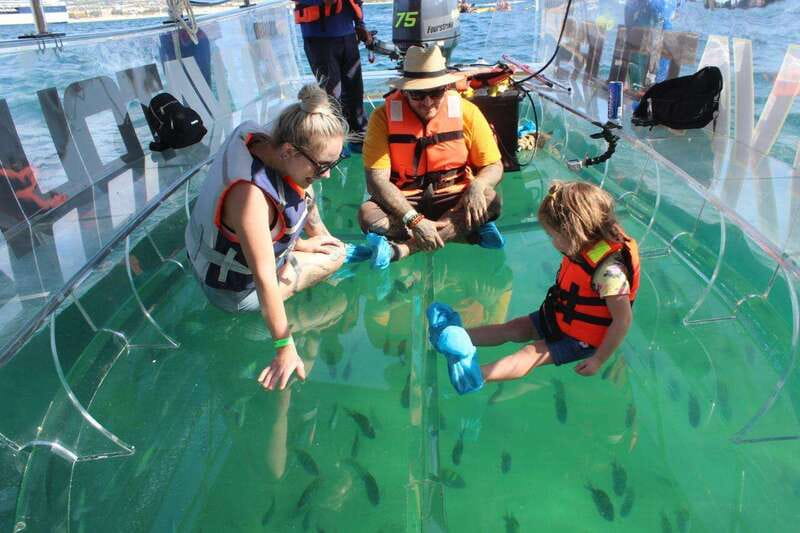 Los Cabos: Transparent Boat Tour with Optional City Tour - Seeing Cabo from below and above the water