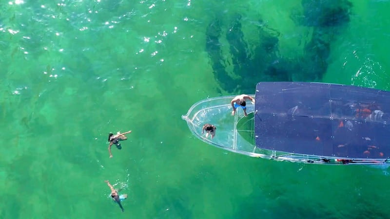 Los Cabos: Transparent Boat Tour with Optional City Tour - Small details that improve the experience