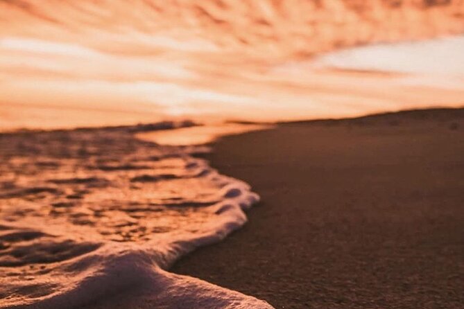 Los Cabos turtle release conservation program - Is $85 a fair price?
