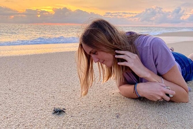 Los Cabos turtle release conservation program - Who will enjoy this most?
