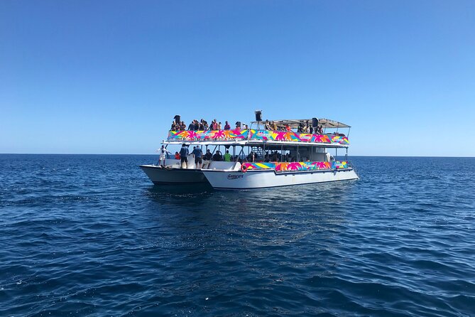 Los Cabos Whale Watching Cruise Including Breakfast - Timing, season, and small details that matter