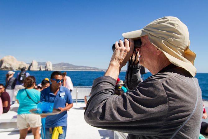 Los Cabos Whale Watching Cruise Including Breakfast - Is the $99 price fair?