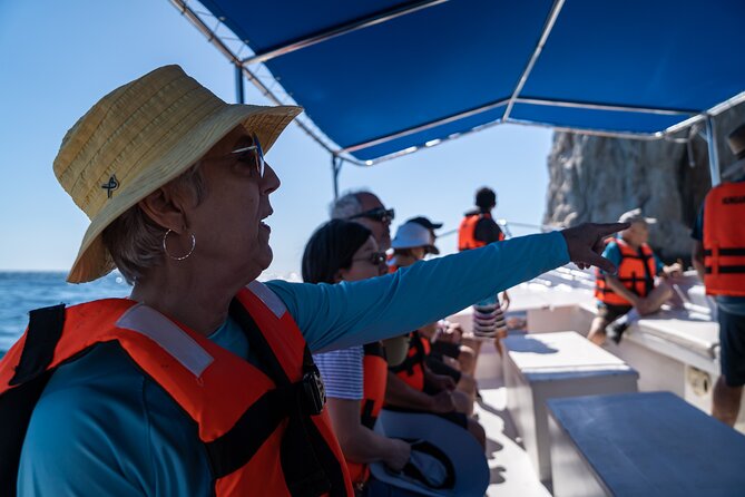 Los Cabos Whale Watching (Transportation and Pictures Included) - Two hours searching the Gulf of California