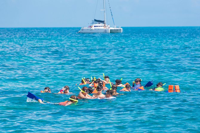 Luxury Catamaran tour to Isla Mujeres with transportation from Playa del Carmen - Sailing a 45-Foot Catamaran