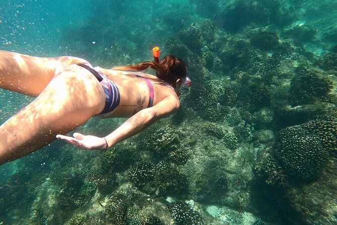 Luxury Snorkel Adventure in Cabo - A small catamaran with a more personal feel