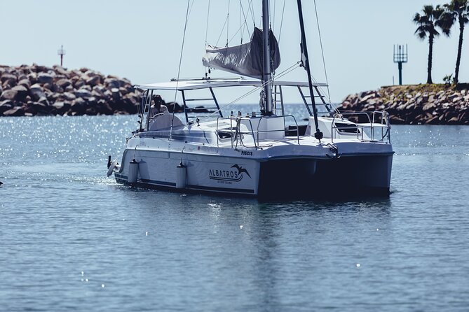 Luxury Snorkel Adventure in Cabo - Lunch, ceviche, guacamole, and the open bar