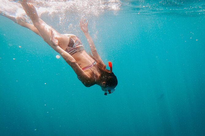 Luxury Snorkel Adventure in Cabo - Service that makes the luxury label work