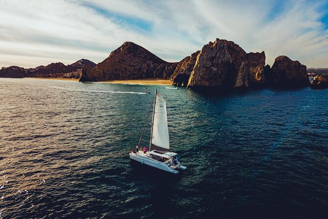Luxury Whale Watch Cruise to The Arch Los Cabos - Is $95 a fair price?