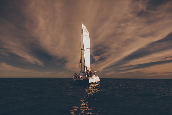 Luxury Whale Watch Cruise to The Arch Los Cabos - The crew, the bar, and the mood on board