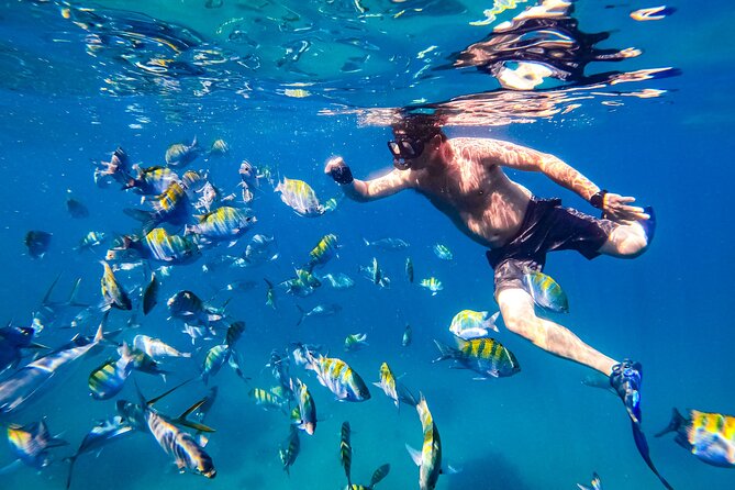 Luxury Yacht & Snorkel with All inclusive Open bar and lunch - Meeting point, fees, and cancellation rules