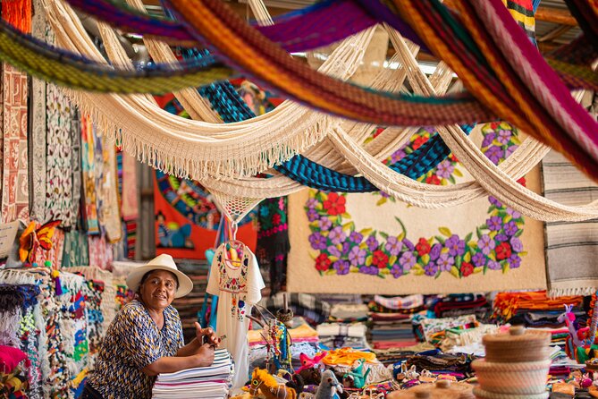 Magical Todos Santos Tour, Camel Ranch, Lunch and Tequila - Transport, pickup, and group size