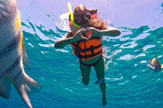 Magnificent Exploration to El Cielo Palancar and Columbia Reefs - What this Cozumel boat trip really offers