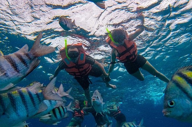 Magnificent Exploration to El Cielo Palancar and Columbia Reefs - El Cielo is the photogenic pause in shallow water