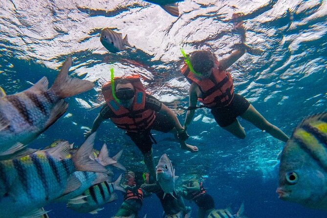 Magnificent Exploration to El Cielo Palancar and Columbia Reefs - El Cielito is where the manta rays steal the show
