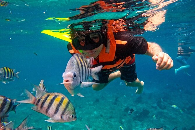 Magnificent Exploration to El Cielo Palancar and Columbia Reefs - The $23 price needs a closer look