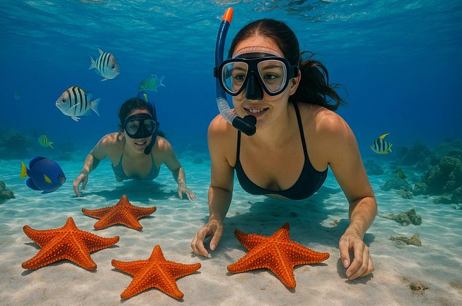Magnificent Exploration to El Cielo Palancar and Columbia Reefs - Language and group size can shape the day