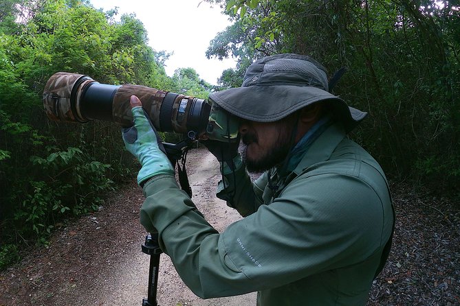 Mahahual and Costa Maya Birdwatching - Why Mahahual is worth leaving the cruise pier