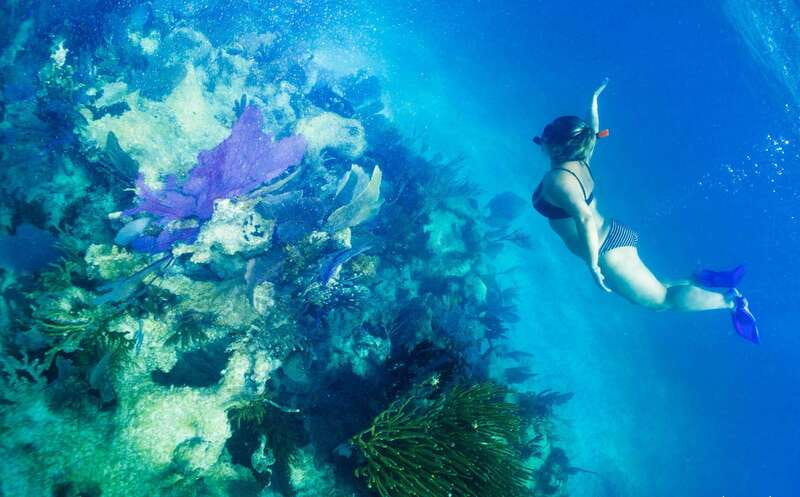 Mahahual: Snorkel Tour in Reef Lagoon - Starting at Blue Kay Ecocabañas and Beach Club