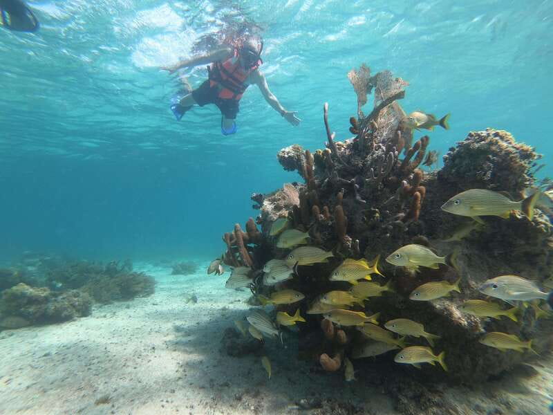 Mahahual: Snorkel Tour in Reef Lagoon - How to protect the reef during your visit