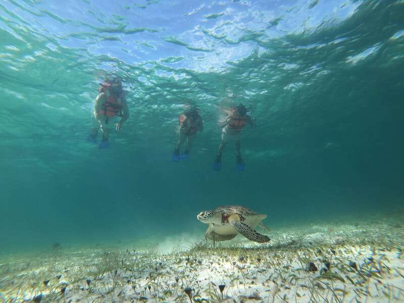 Mahahual: Snorkel Tour in Reef Lagoon - What the $37 price really covers