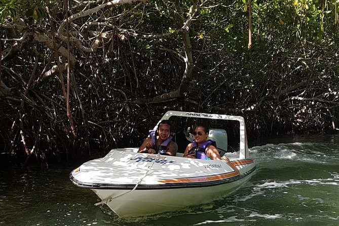 Mangrove and Lagoon Speed Boat Tour - Practical details at Marina Puerto Madero