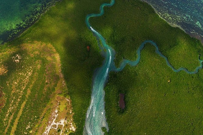 Mangrove and Lagoon Speed Boat Tour - What happens at the snorkeling or beach stop