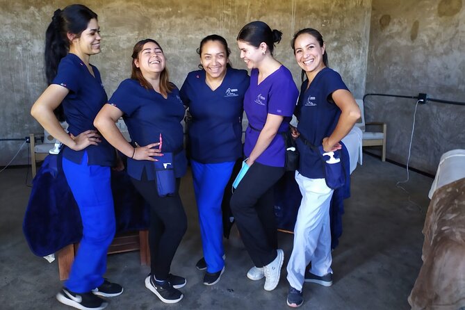 Massage Experience with Certified Therapists & Pickup Drop-Off - Drop-off choices after the massage