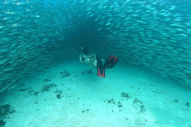 Mayan Adventure from Cancun - Lunch, drinks, and the real value of the package