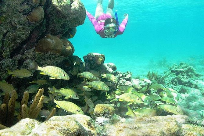 Mayan Adventure from Playa del Carmen - Lunch, drinks, gear, and the real value