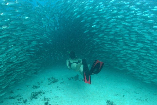 Mayan Adventure from Playa del Carmen - Reef snorkeling and the first look underwater
