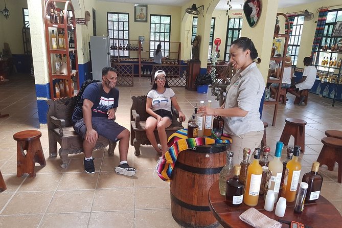 Mayan Village and Tequila Tour - Should you book the Mayan Village and Tequila Tour?