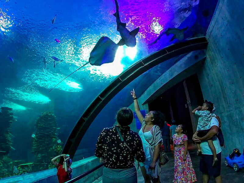 Mazatlan: Grand Aquarium Ticket and City Sightseeing Tour - A short open-air tour of Mazatlán