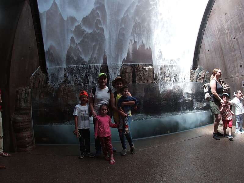 Mazatlan: Grand Aquarium Ticket and City Sightseeing Tour - Practical details that can affect your day