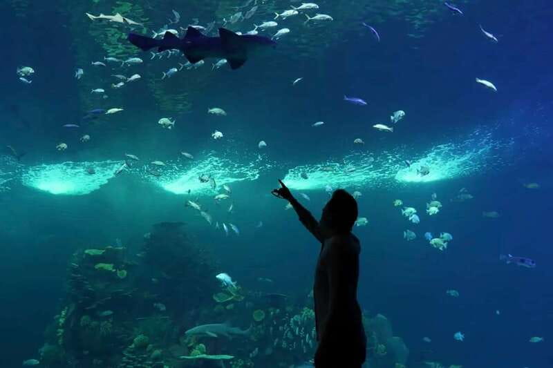 Mazatlan: Grand Aquarium Ticket and City Sightseeing Tour - Premium entry saves time at the Grand Aquarium