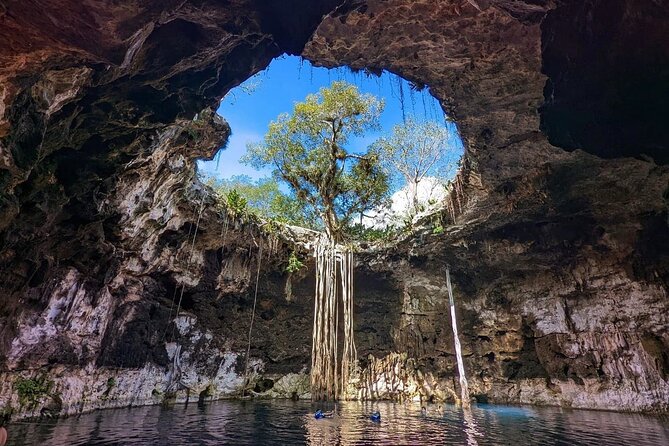 Merida : 4 Santa Barbara Cenotes and Bikes with Lunch - Santa Bárbara makes this more than a single cenote stop