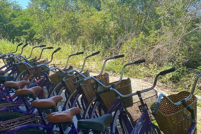 Merida : 4 Santa Barbara Cenotes and Bikes with Lunch - Should you book it?
