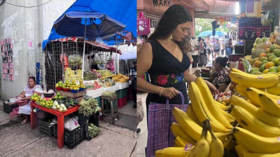 Mérida: Food tour of typical Yucatecan cuisine. - Key points before you book