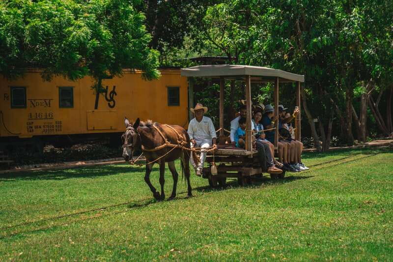Merida: Hacienda Sotuta de Peon w/ Cenote & Henequen Tour - A former henequen estate brought back to life