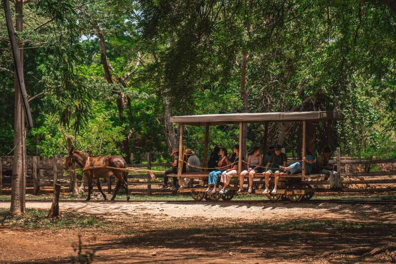Merida: Hacienda Sotuta de Peon w/ Cenote & Henequen Tour - Should you book Hacienda Sotuta de Peón?