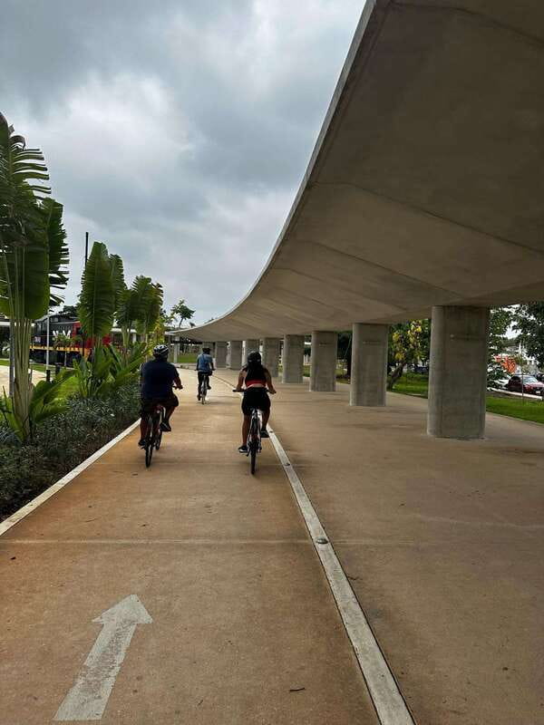 Mérida: The E-bike tour with history and culture - The southern neighborhood and the ride home