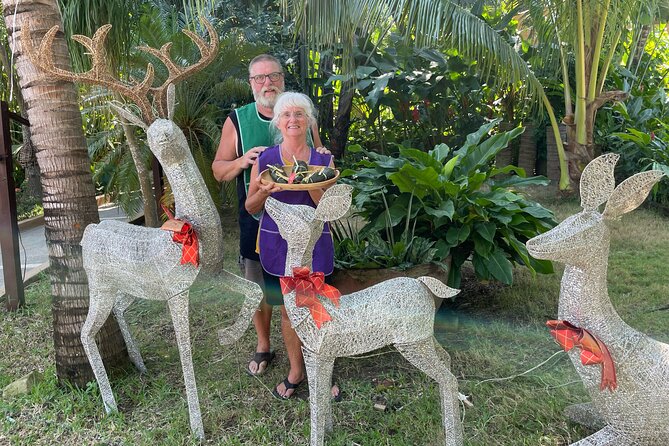 Mexican Cooking Class in Zihuatanejo de Azueta - Value, transportation, and booking details