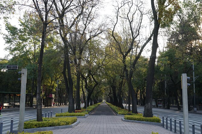 Mexico City: 19 City Highlights Bicycle Tour - Bellas Artes and the Zócalo provide the big city payoff