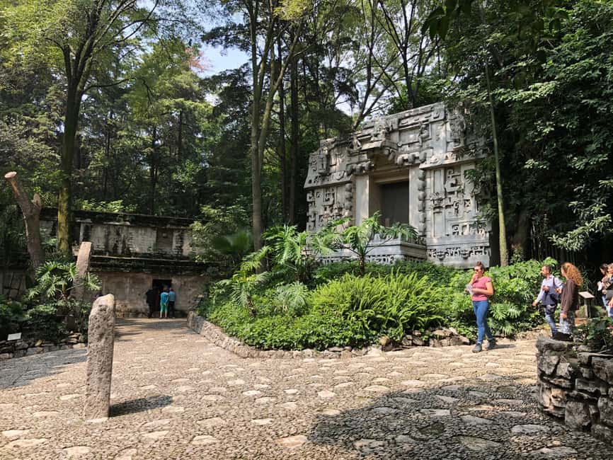 Mexico City: Anthropology Museum Tour with Historian - The Olmec Colossal Head and the Question of Influence