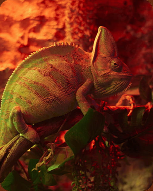 Mexico City: Fast Pass Ticket to Acuarium Inbursa - What the $19 Acuario Inbursa ticket gives you