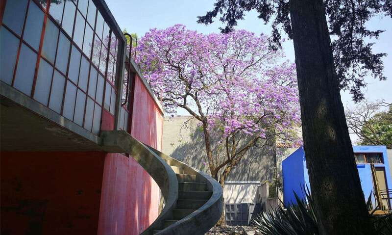 Mexico City: Frida Kahlo-Diego Rivera Studio House Tour - Key points at a glance