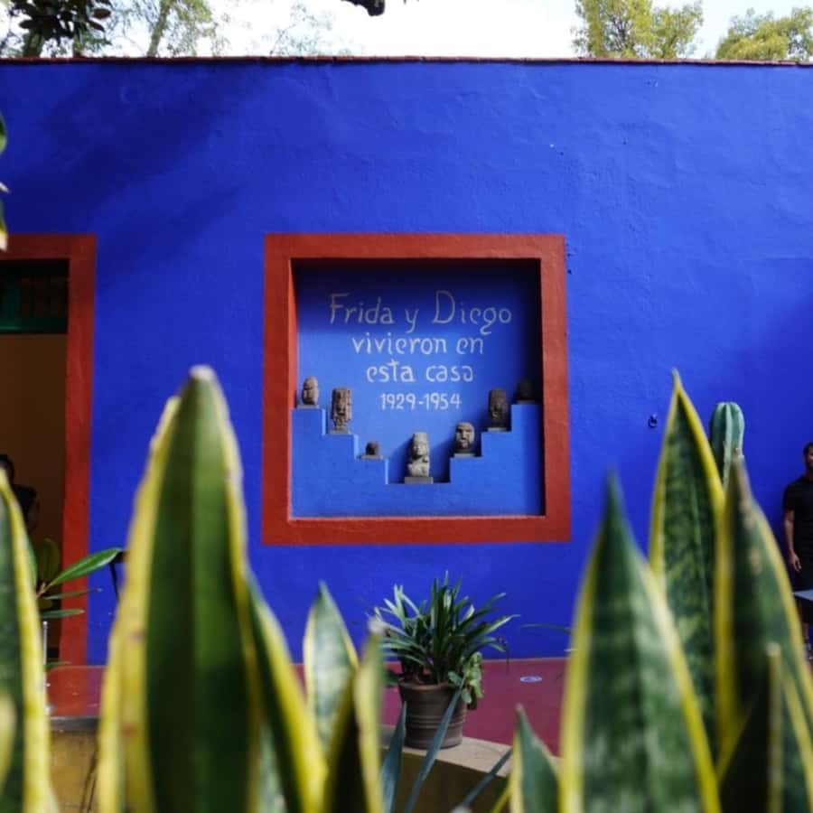 Mexico City: Frida Kahlo Museum Tour - Inside the Blue House with a live guide